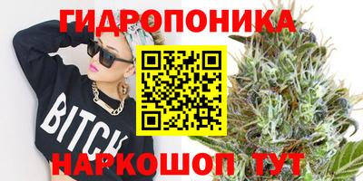 крисы Малгобек