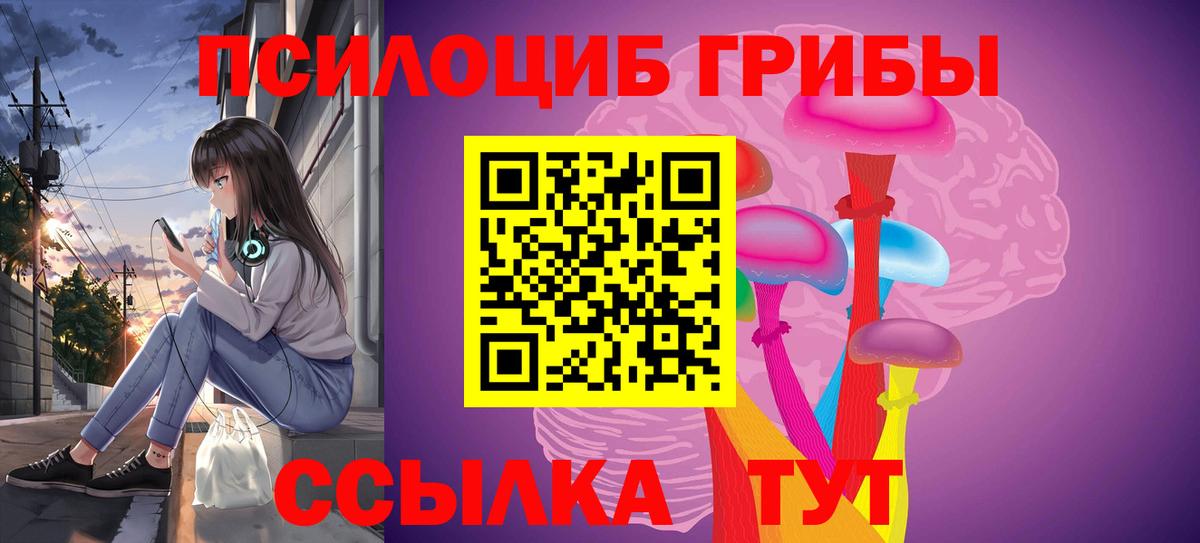 Грозный  Псилоцибиновые грибы мицелий  Вход с VPN 